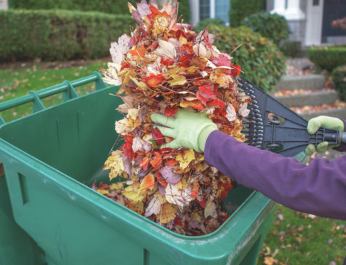 Getting your Home Ready for Fall & Winter