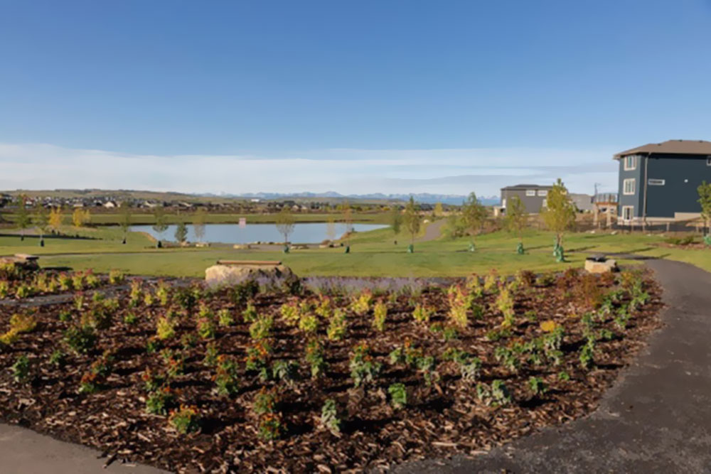 A waterfront garden and trail in the new Okotoks community of D'ARCY