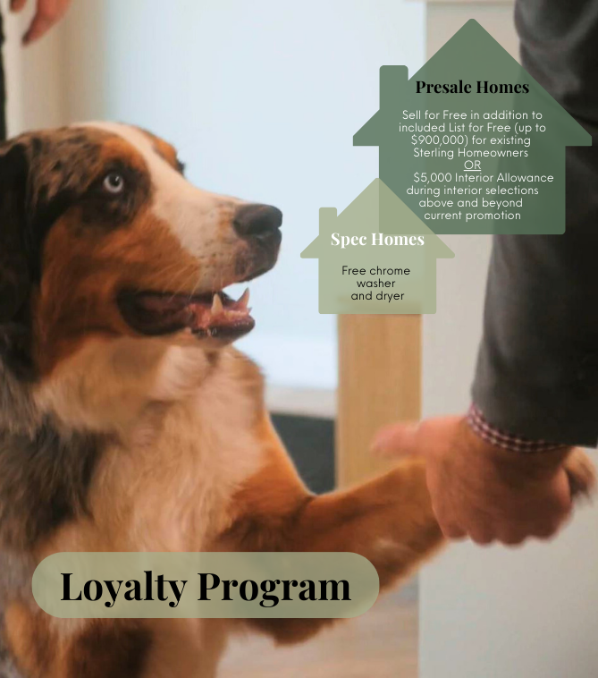 Loyalty Program
