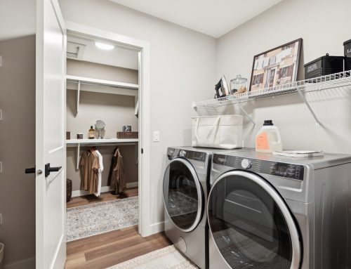 Maya – Laundry
