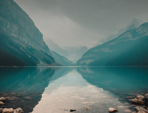 Earth Day at Home: How Sterling Homes Helps You Build a More Energy-Efficient Home