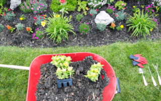uploads - things-to-remember-about-new-home-landscaping-wheelbarrow-featured-image